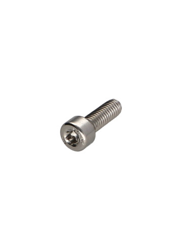 1 x Metalliruuvit Lieriöpää TORX T45...
