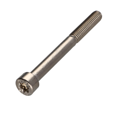 1 x Metalliruuvit Lieriöpää TORX T30 Ruostumaton teräs A2 M6X60 Kierteytetty kohteessa 24