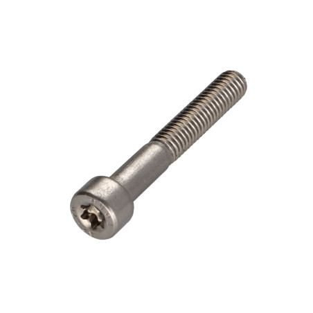 1 x Metalliruuvit Lieriöpää TORX T25 Ruostumaton teräs A2 M5X30 Kierteytetty kohteessa 22