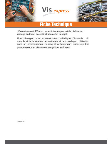 1 x Metalliruuvit Lieriöpää TORX T30...