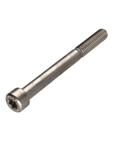 1 x Metalliruuvit Lieriöpää TORX T50...