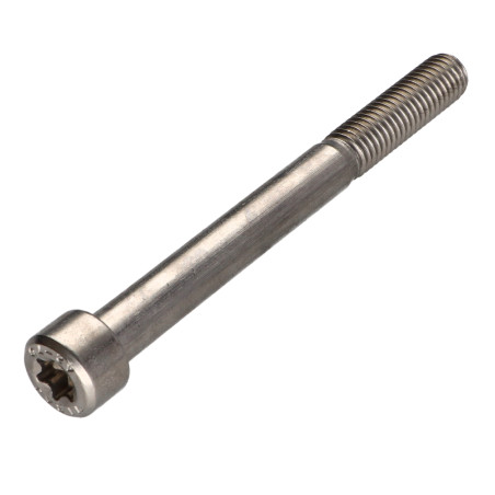 1 x Metalliruuvit Lieriöpää TORX T50 Ruostumaton teräs A2 M10X100 Kierteytetty kohteessa 32