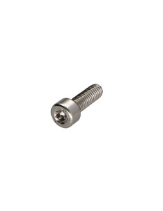 Metalliruuvit Lieriöpää TORX T45 Ruostumaton teräs A2...