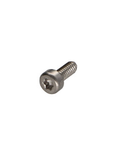 Metalliruuvit Lieriöpää TORX T30 Ruostumaton teräs A2...
