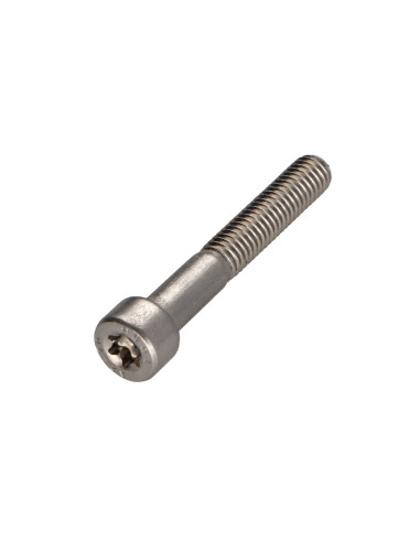 1 x Metalliruuvit Lieriöpää TORX T30...