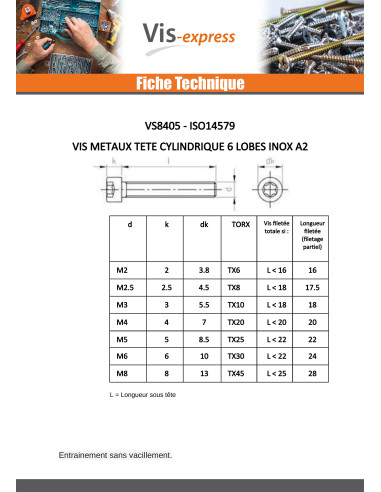 1 x Metalliruuvit Lieriöpää TORX T50...