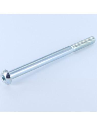 1 x Metalliruuvit BHC (Bombée Hexagonal creux /...