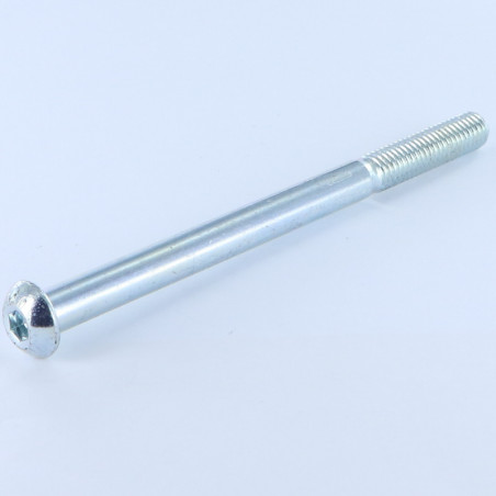 1 x Metalliruuvit BHC (Bombée Hexagonal creux / kupukantainen kuusiopää) M8X110 Kierteytetty kohteessa 32
