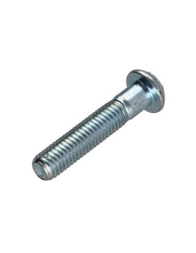 1 x Metalliruuvit BHC (Bombée Hexagonal creux /...