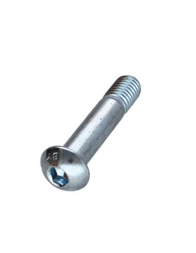 1 x Metalliruuvit BHC (Bombée Hexagonal creux /...