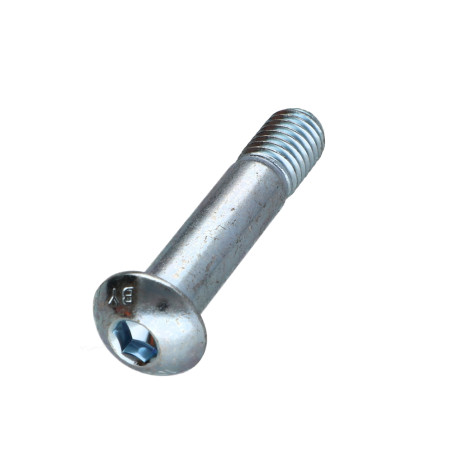 1 x Metalliruuvit BHC (Bombée Hexagonal creux / kupukantainen kuusiopää) M10X55 Kierteytetty kohteessa 15