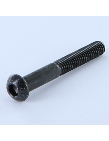 1 x Metalliruuvit BHC (Bombée Hexagonal creux /...