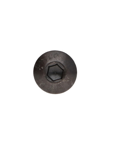 1 x Metalliruuvit BHC (Bombée Hexagonal creux /...