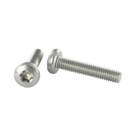 1 x Metalliruuvit leveä kupukantainen Ruostumaton teräs A2 M10X25 TORX T50