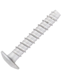 Betoniruuvi Pää Kupumainen TORX TORX T30 6x60 Sinkitty teräs