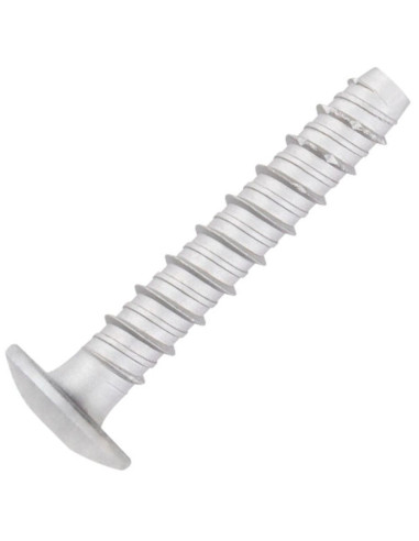 1 x Betoniruuvi Pää Kupumainen TORX TORX T30...
