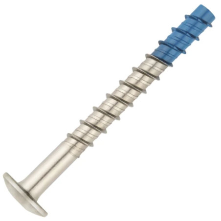 1 x Betoniruuvi Pää Kupumainen TORX TORX T30 6x50 Bimetalli