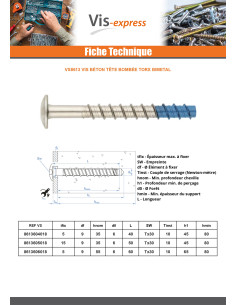Betoniruuvi Pää Kupumainen TORX TORX T30 6x50 Bimetalli 2