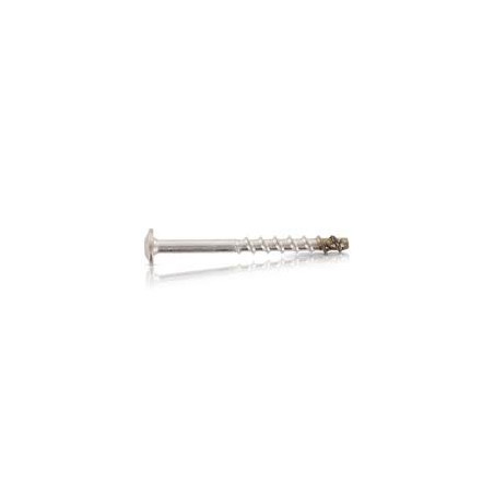 1 x Betoniruuvi Pää Kupumainen TORX T30 Ruostumaton teräs A4 7,5x50